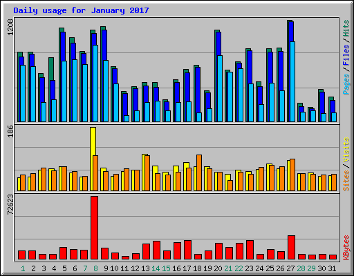 Daily usage for January 2017