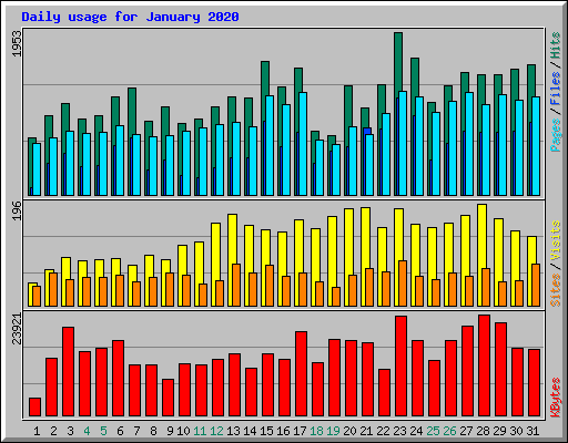 Daily usage for January 2020