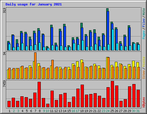 Daily usage for January 2021