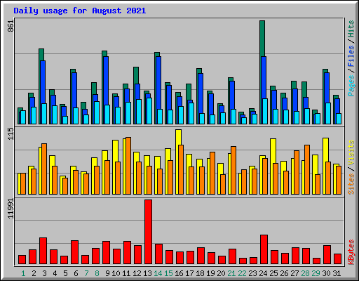 Daily usage for August 2021