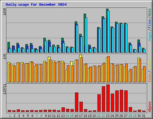 Daily usage for December 2024