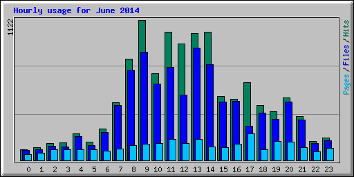 Hourly usage for June 2014