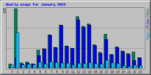 Hourly usage for January 2016