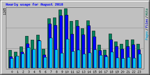 Hourly usage for August 2018