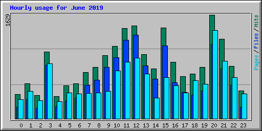 Hourly usage for June 2019