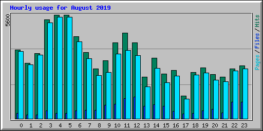 Hourly usage for August 2019