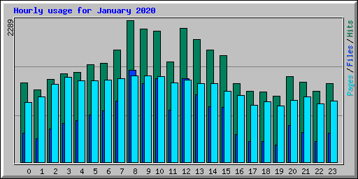 Hourly usage for January 2020