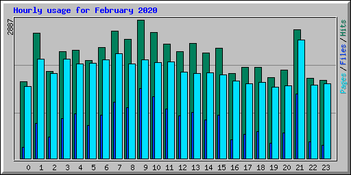 Hourly usage for February 2020