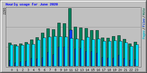 Hourly usage for June 2020