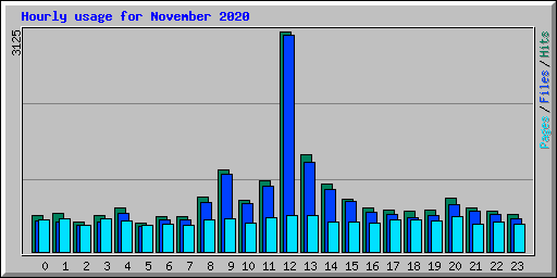 Hourly usage for November 2020