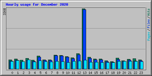 Hourly usage for December 2020