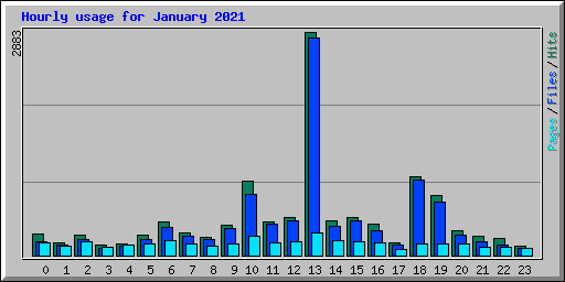 Hourly usage for January 2021
