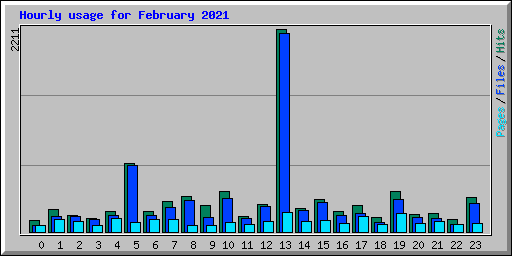 Hourly usage for February 2021