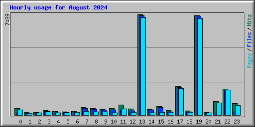 Hourly usage for August 2024
