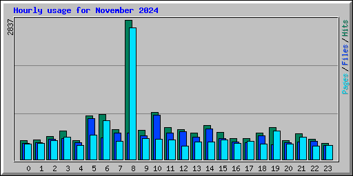Hourly usage for November 2024