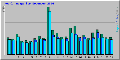 Hourly usage for December 2024