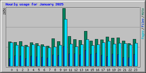 Hourly usage for January 2025