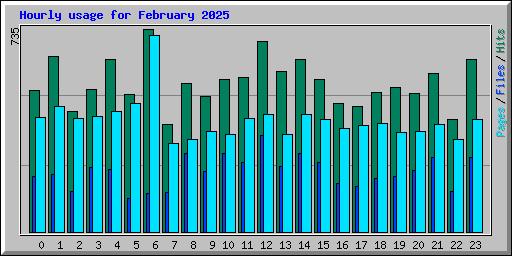 Hourly usage for February 2025