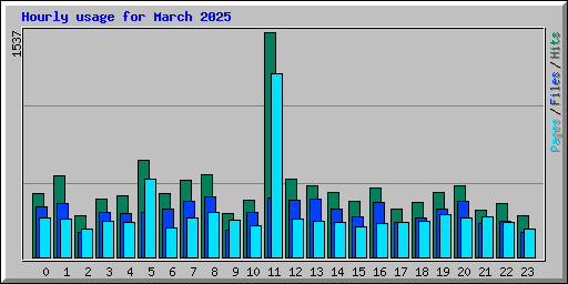 Hourly usage for March 2025