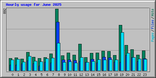 Hourly usage for June 2025