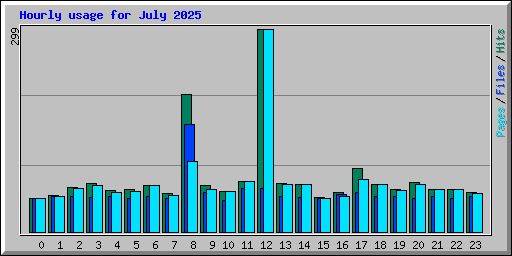 Hourly usage for July 2025